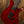 PRS Tekton T Bloodstone Red