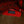 PRS Tekton T Bloodstone Red