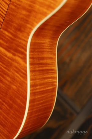 Taylor GC6