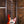 Squier Classic Vibe Active '70s Jazz Bass V Siena Sunburst