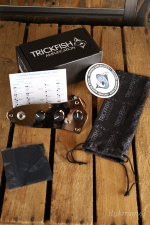 Trickfish J-Core Preamp 2 band