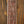 Ibanez TOD10N Tim Henson Signature Pearl Pink Flat