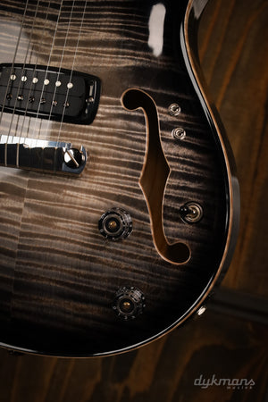PRS Private Stock 30th Anniversary “BIRDS OF A FEATHER” Hollowbody