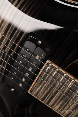 PRS Private Stock 30th Anniversary “BIRDS OF A FEATHER” Hollowbody