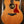Taylor 214ce