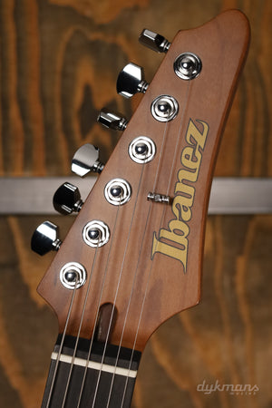 Ibanez LM10-MG