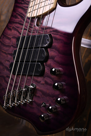 Dingwall Combustion 5-3 Ultra Violet