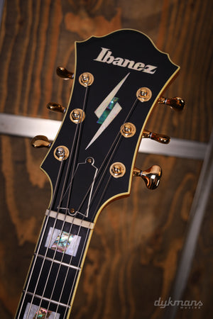 Ibanez PM100 PRE-OWNED!