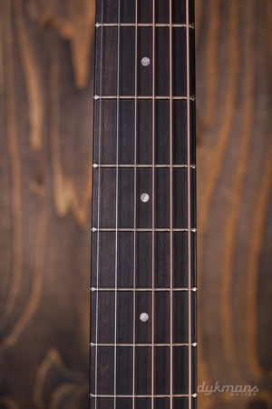Taylor 114ce Lefty