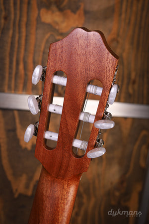 Kremona Camellia 7/8