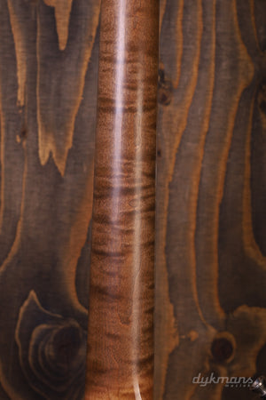 Novo Serus J Bull Black