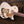 Gretsch Electromatic Pristine LTD Jet Singlecut White Gold
