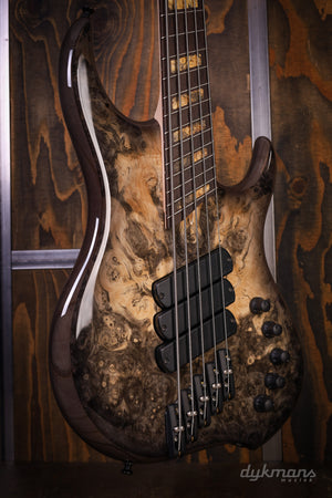 Dingwall Custom Shop Z3X-5 Buckeye Burl Natural to Black Burst