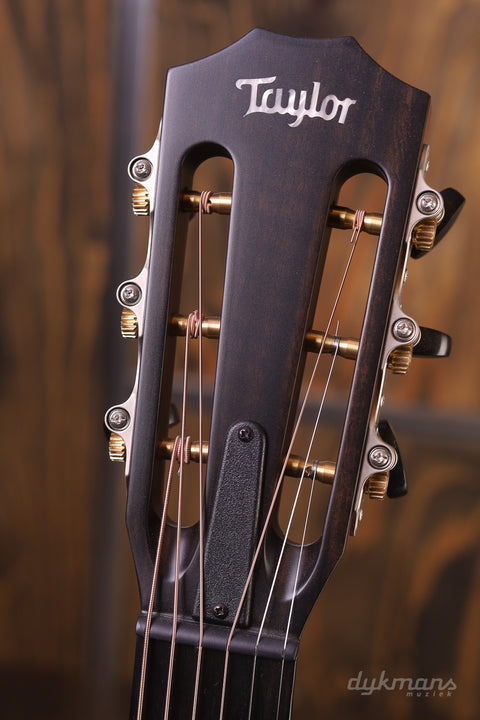 Taylor 312ce 12-fret