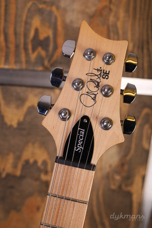 PRS SE Swamp Ash Special Iri Blue