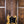 Gibson SG Standard TV Yellow