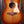 Taylor Ben Harper Gold Label 512e Special Edition