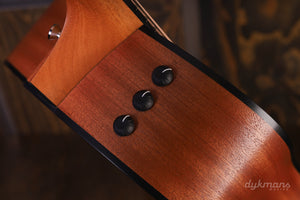 Taylor 150e 12-string