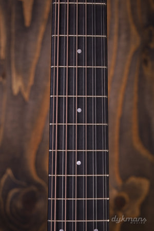 Taylor 150e 12-string