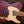 Suhr Andy Wood HH Iron Red