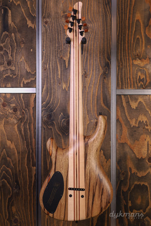 Mayones Regius 7 Buckeye Burl Master Grade Custom Colour