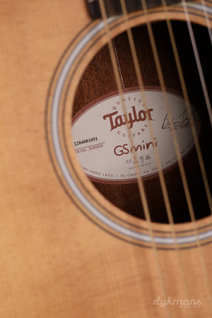 Taylor GS Mini E Rosewood
