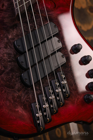 Dingwall Custom Shop Z3X-5 Buckeye Burl Black to Pink Reverse Burst