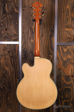 Ibanez PM200 Pat Metheny