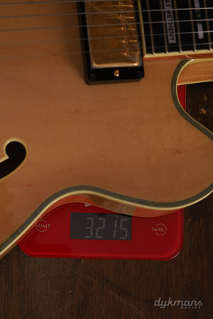 Ibanez PM200 Pat Metheny