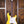 PRS SE Silver Sky Dandy Lion
