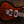PRS SE Custom 24 Black Gold 2026