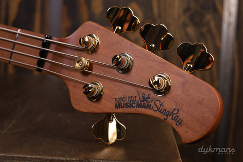 Music Man Stingray Special Jackpot