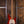 Music Man Stingray