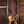 Dingwall D-Roc Matte Gold LTD 4-String