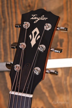 Taylor Gold Label 517e