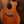 Taylor C14ce Custom GA # NAMM 2024 Walnut/Cedar