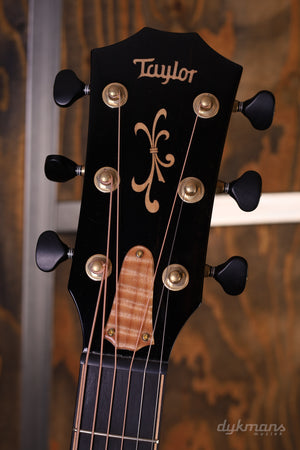 Taylor C14ce Custom GA # NAMM 2024 Walnut/Cedar