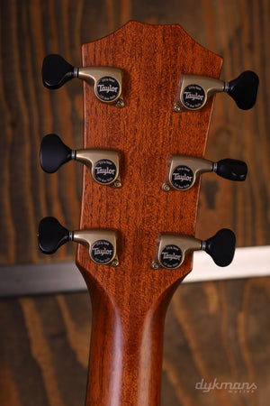 Taylor C14ce Custom GA # NAMM 2024 Walnut/Cedar