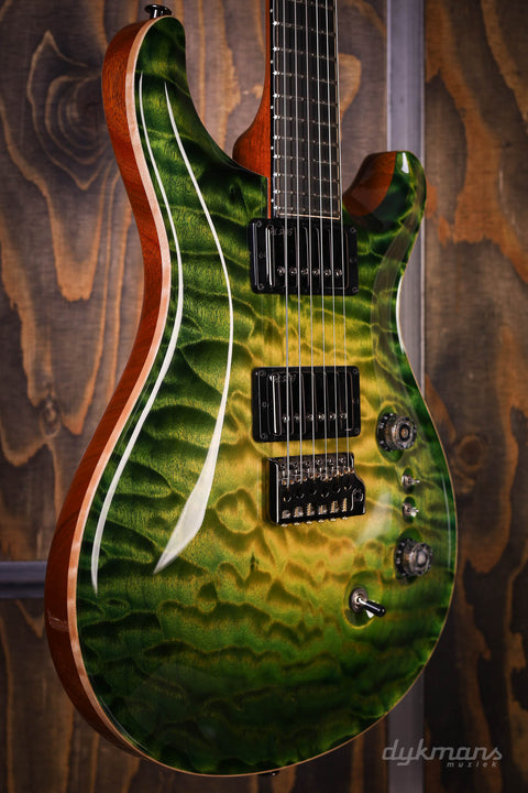 PRS Private Stock #10485 CU 24-08 Rainforest Glow w/ Birds of a Feather Inlay