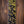 PRS Private Stock #10485 CU 24-08 Rainforest Glow w/ Birds of a Feather Inlay