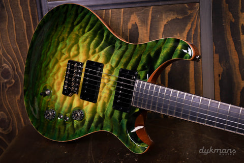 PRS Private Stock #10485 CU 24-08 Rainforest Glow w/ Birds of a Feather Inlay