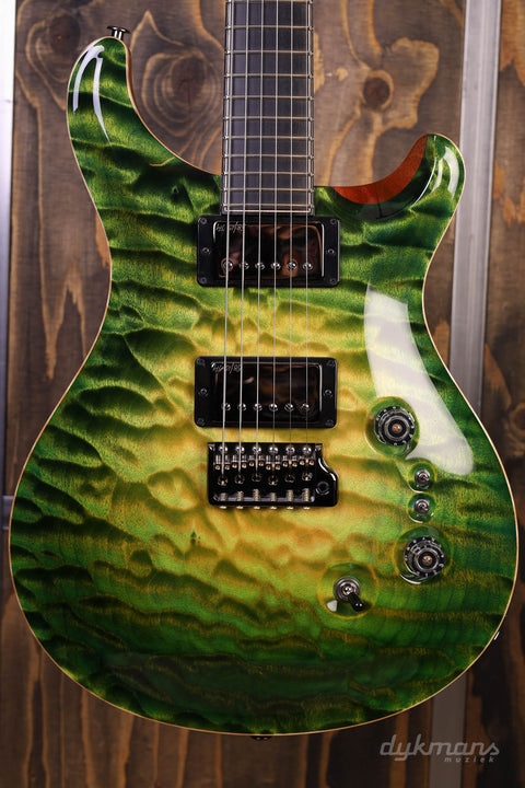 PRS Private Stock #10485 CU 24-08 Rainforest Glow w/ Birds of a Feather Inlay