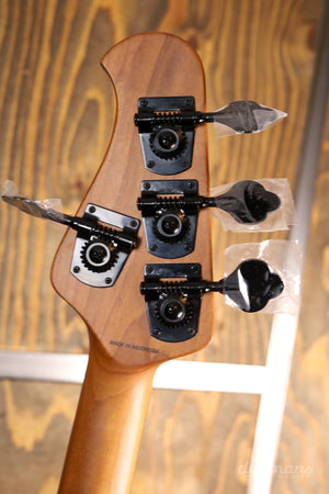 Sterling By Music Man Dark Ray