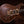 PRS Private Stock Walnut