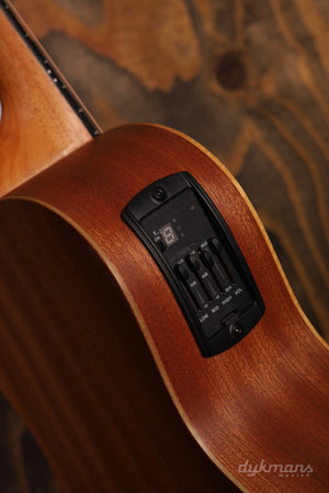 Taylor GS mini-e Special Edition Paisley Burst