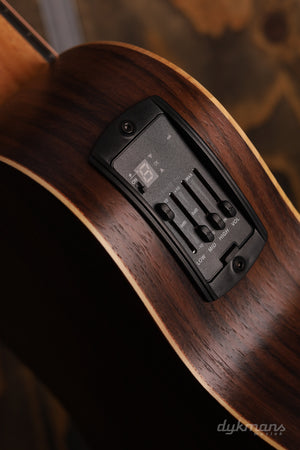 Taylor 50th Anniversary GS Mini-e Rosewood SB LTD 