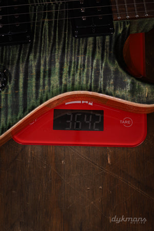 PRS Custom 24-08 Wood Library Sage