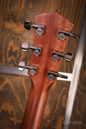 Taylor Gold Label 717e Sunburst