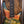 Ibanez JCSR2023RCY River Canyon