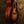 Taylor 114ce Special Edition